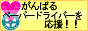 がんばる！ペーパードライバーを応援！！